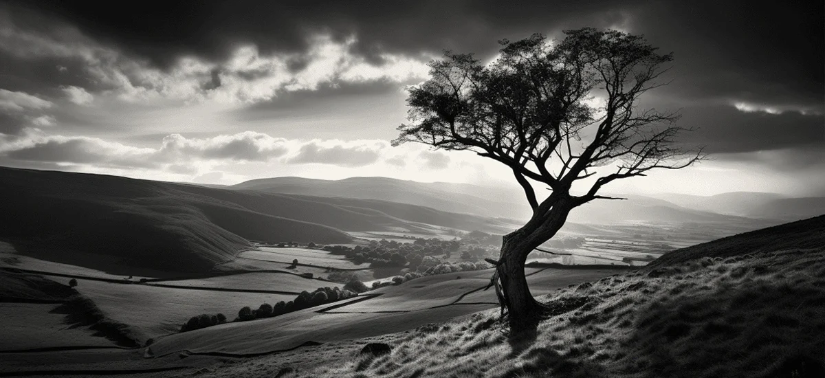 Beauty Without Color The Timeless Art of B&W Photography