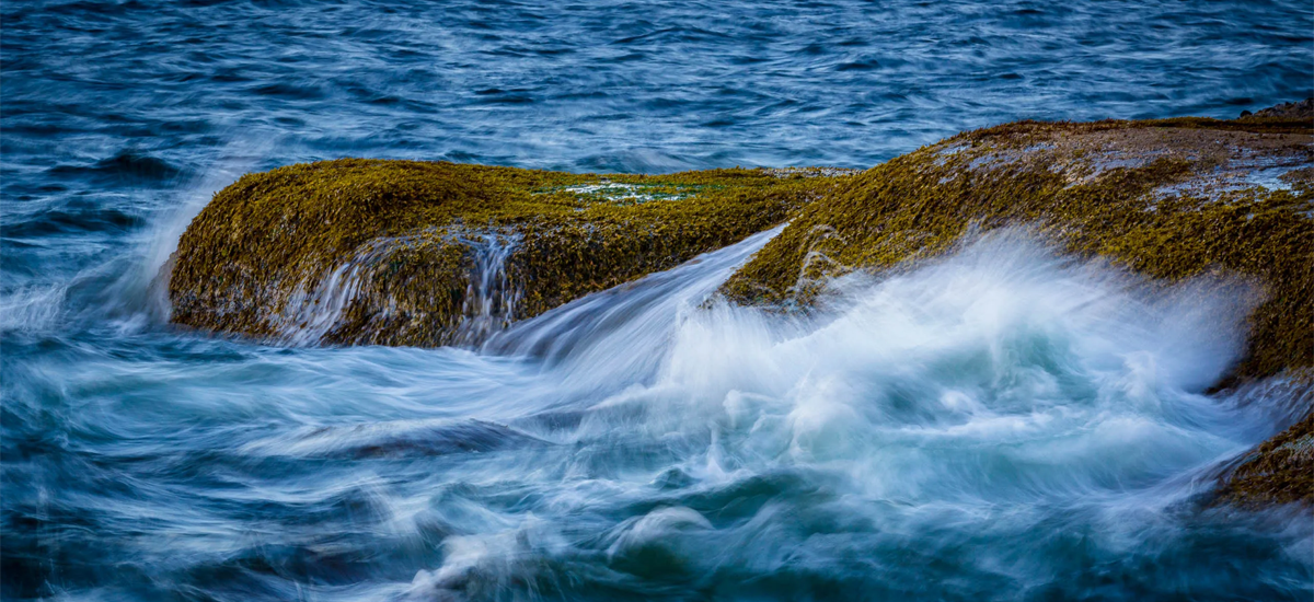 Capturing Every Detail in the Beauty of Beach
