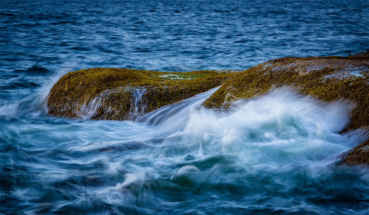Capturing Every Detail in the Beauty of Beach