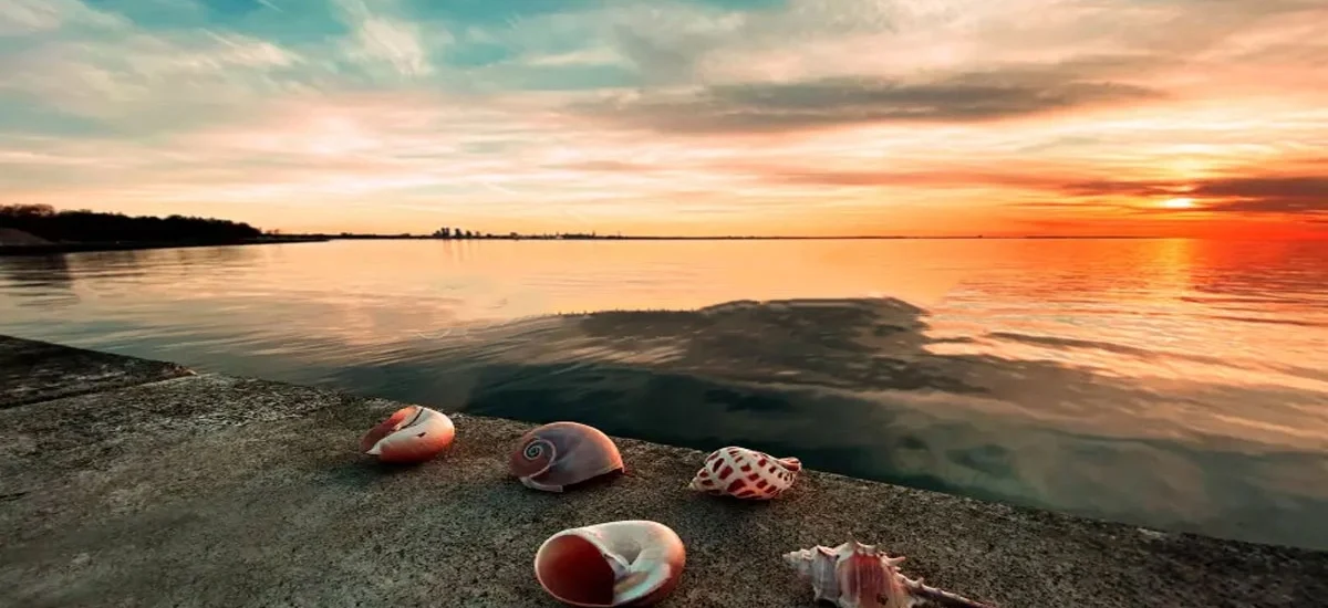Sun, Sand, and Silence: The Essence of Beach Photography