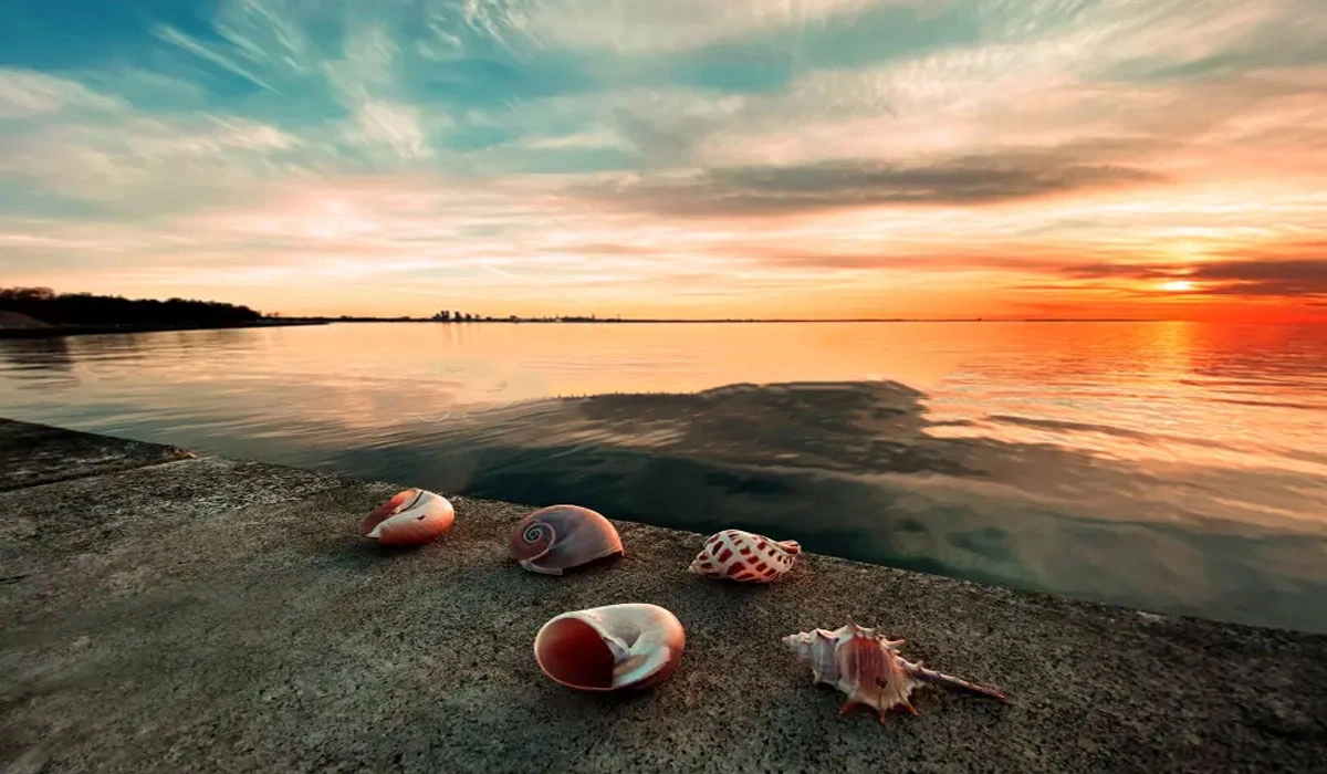 Sun, Sand, and Silence The Essence of Beach Photography