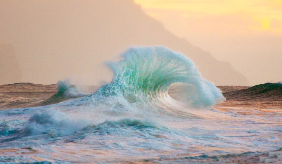 Focus on Color and Texture