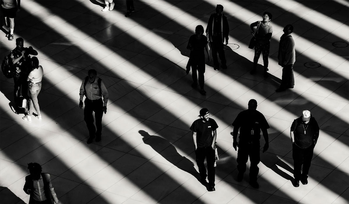 Focus And Shadow: The Art Of Capturing Moments In Photography