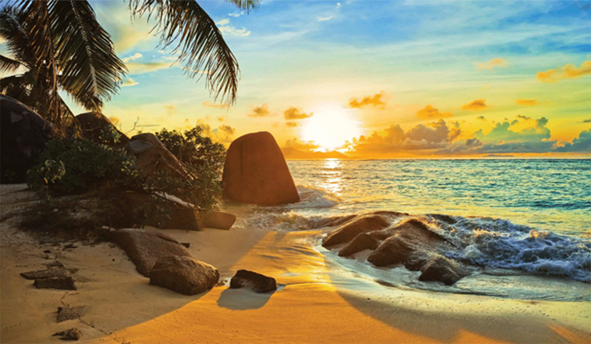 Sunset and Crashing Waves: The Charm of Beach Photography