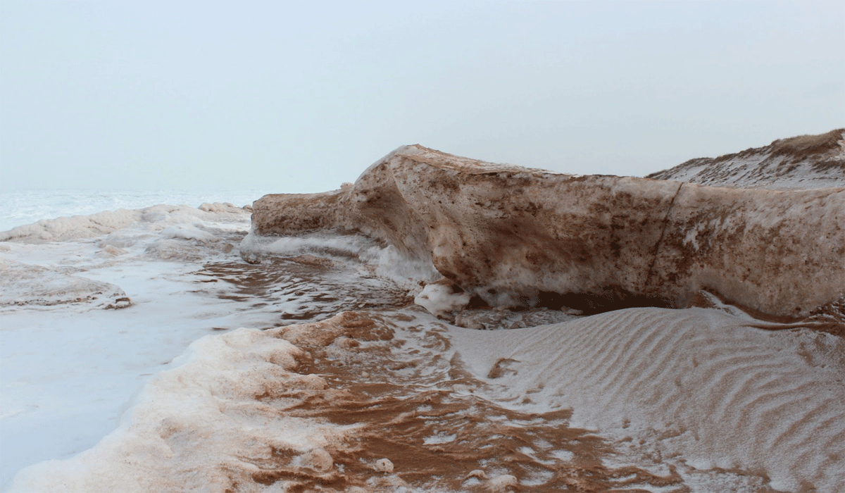 Finding Patterns in Nature