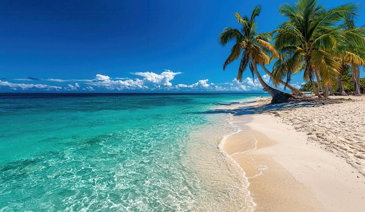 Photographing Tropical Beaches with Maximum Results